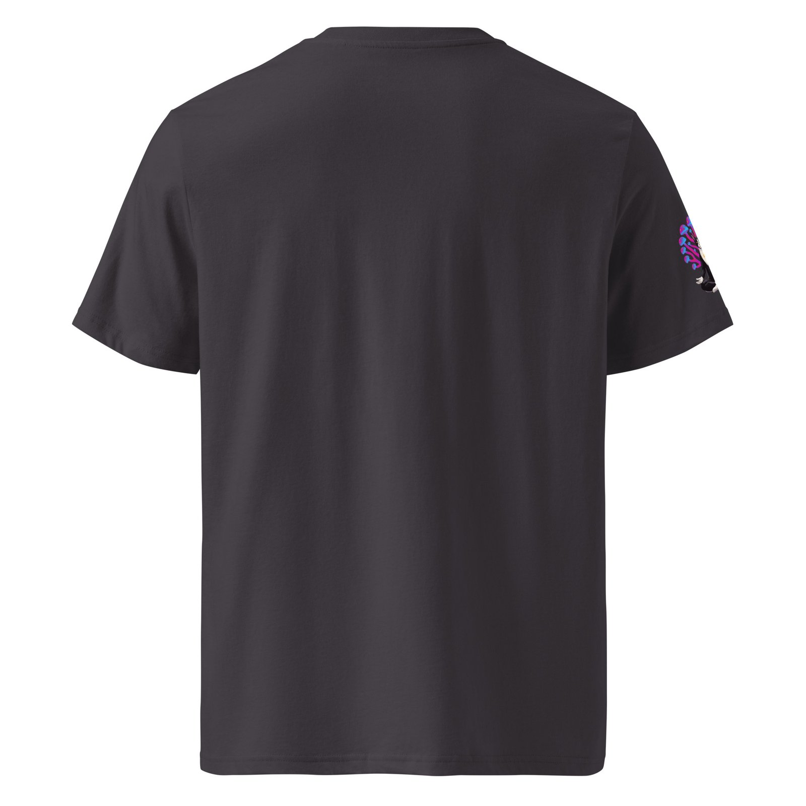 Hypnotic Keanu Unisex Ribbed Neck Tee — anthracite back